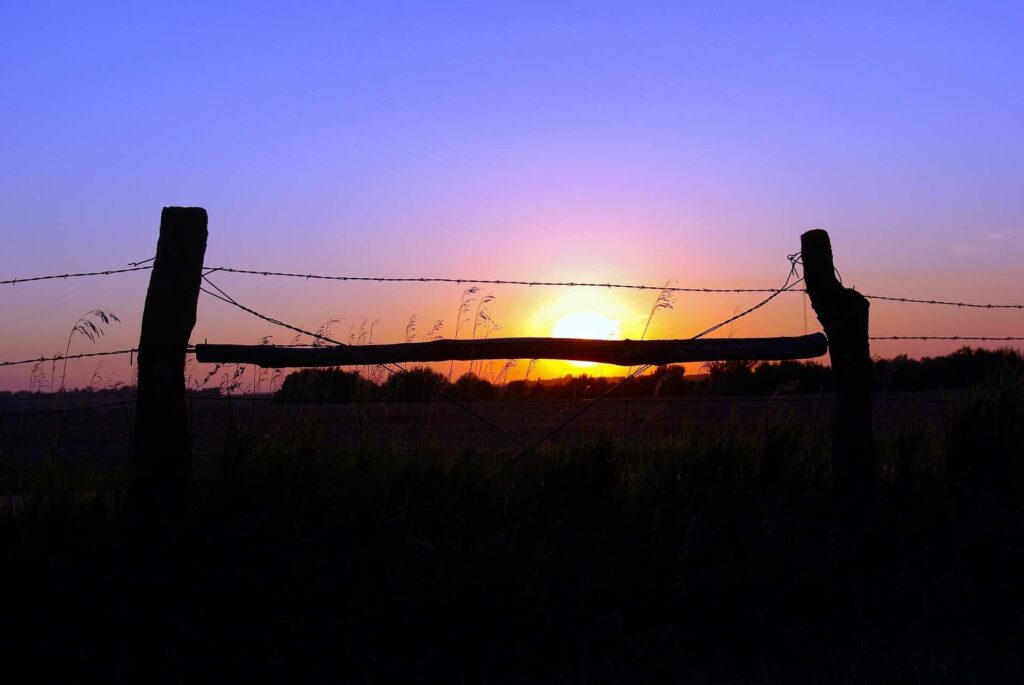 sunset image